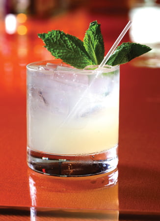 Mai Tai - Cocktail garnish