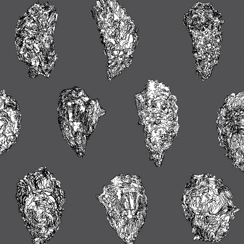 Oysters wallpaper: Black White on Charcoal.