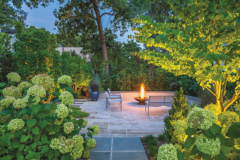 Cutting Edge— In this reimagined garden in Arlington